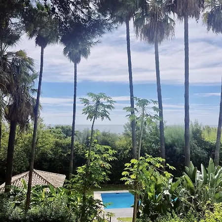 Nagueles * 马尔韦利亚